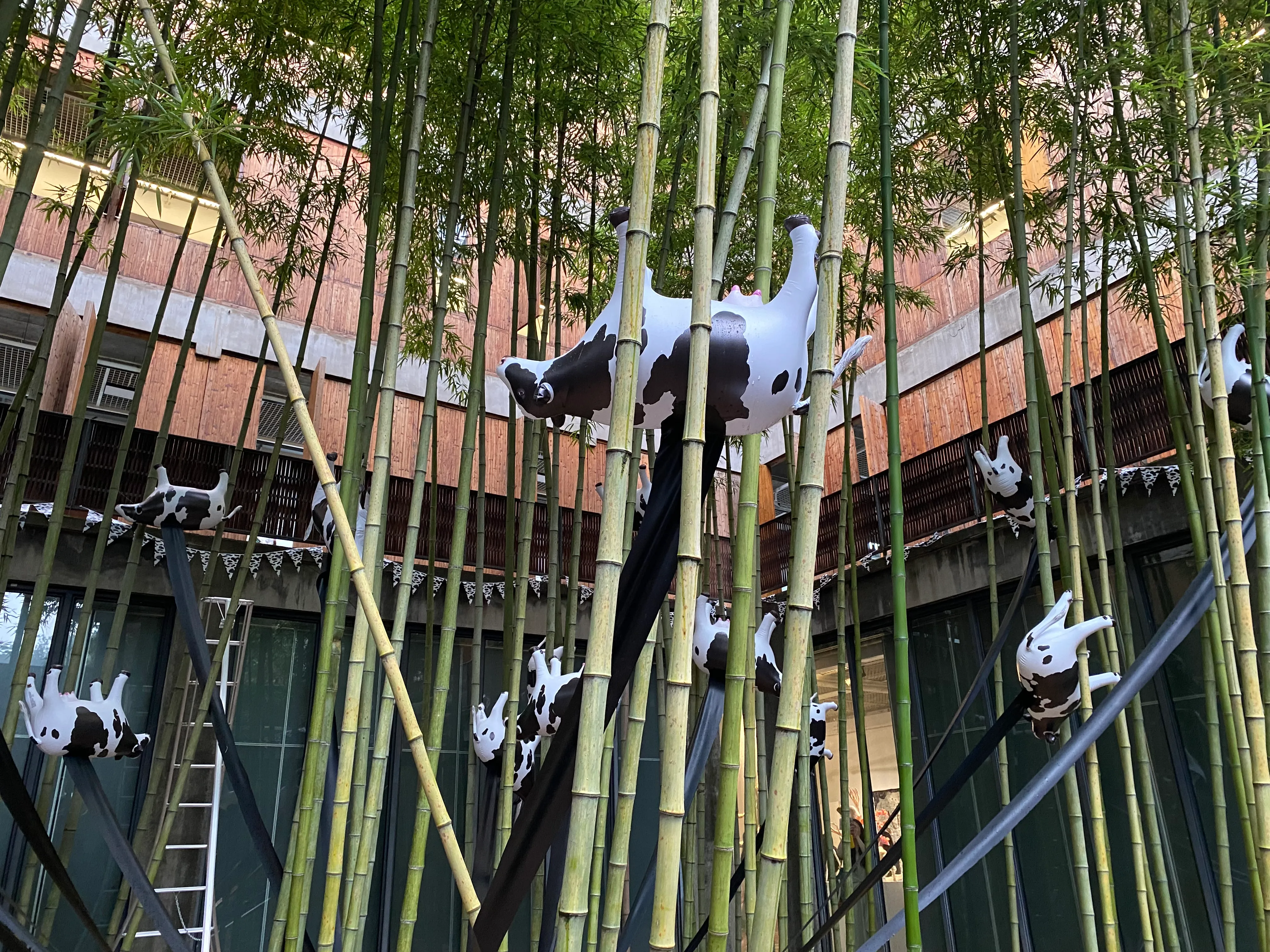 牧场：异星引援